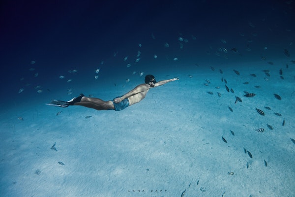 A freediver glides through the clear blue ocean - Lana Zapp Photography