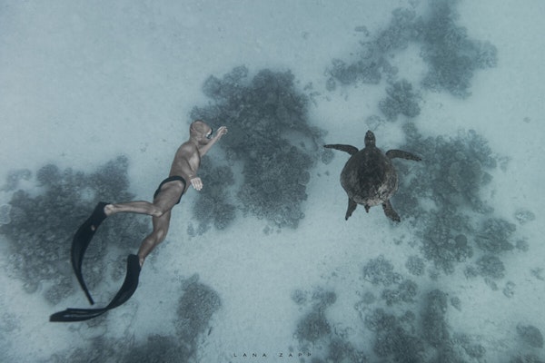 Freediver and sea turtle - Lana Zapp Photography