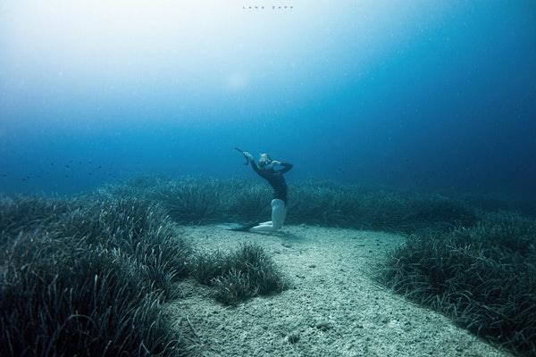 Freediver and Posidonia oceanica - Lana Zapp Photography