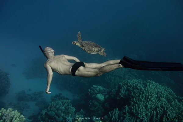 Freediver and Sea Turtle - Lana Zapp Photography